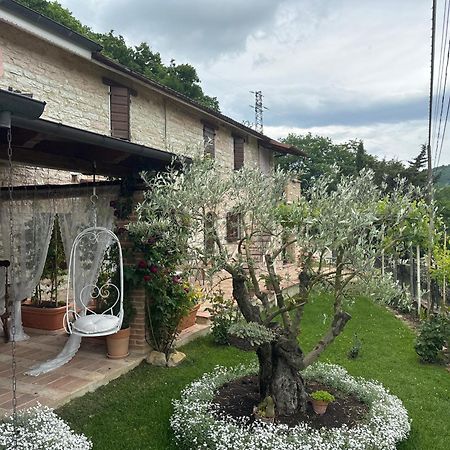 B&B Il Poggetto Serra SantʼAbbondio Dış mekan fotoğraf