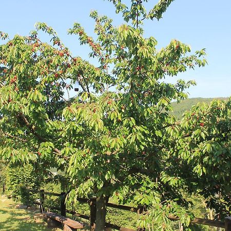 B&B Il Poggetto Serra SantʼAbbondio Dış mekan fotoğraf