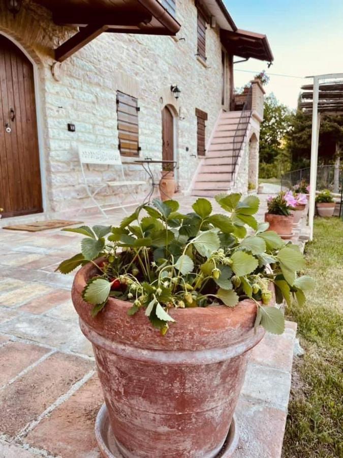 B&B Il Poggetto Serra SantʼAbbondio Dış mekan fotoğraf